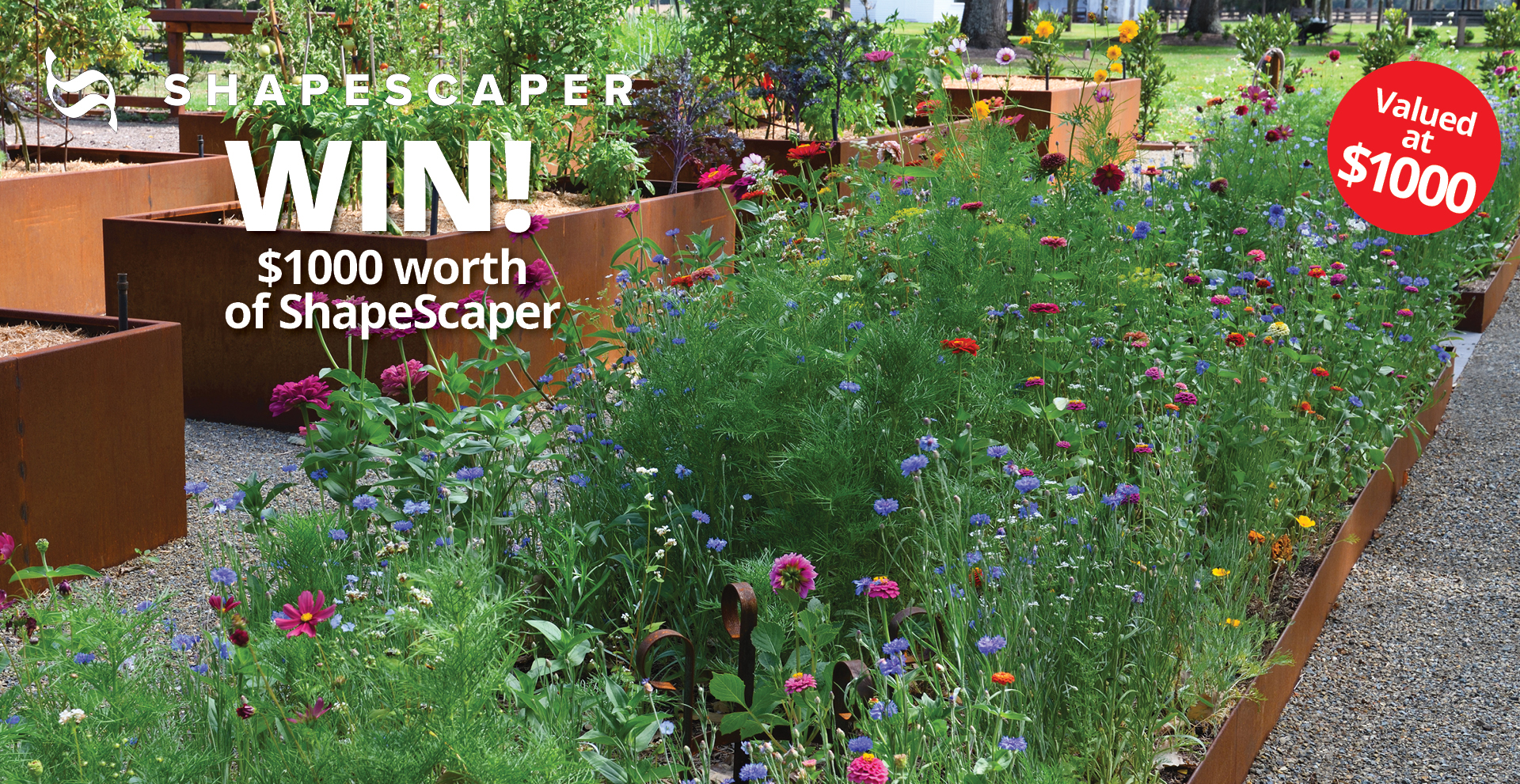 Spring Giveaway
