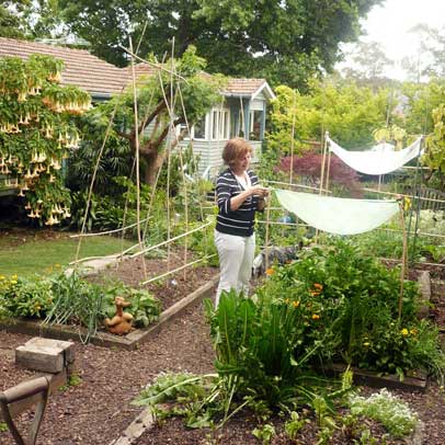 How to: save your garden when off on holidays