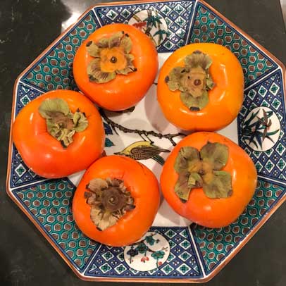 Persimmon: a Touch of the Orient