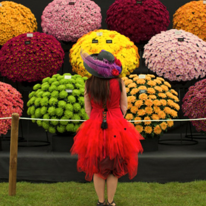 10 Things You Didn’t Know About the Chelsea Flower Show
