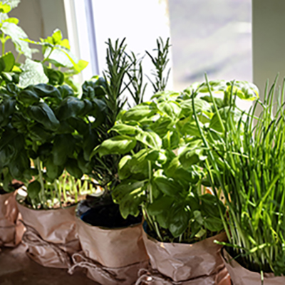 July garden jobs