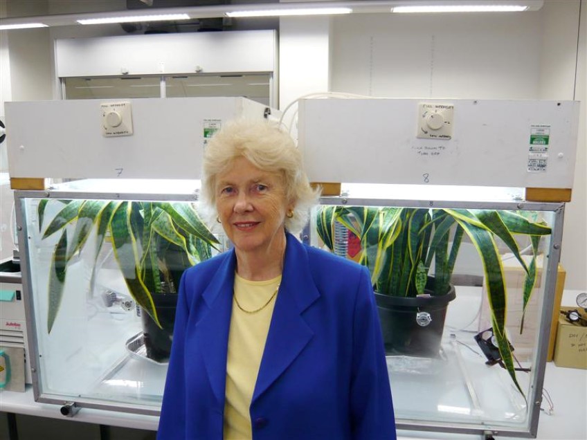 Meet: Margaret Burchett, indoor plant and health expert