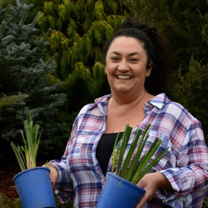 Meet: Sharon Drinkwater, Iris grower