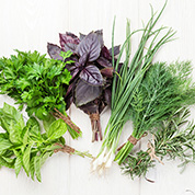 Herb your enthusiasm 