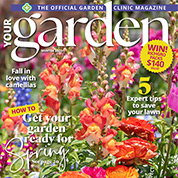 Your Garden - Winter Edition