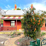 Q&A: Banksia Bonanza