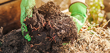 5 ways to boost your soil