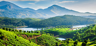 A taste of South India