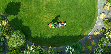 In your garden: April