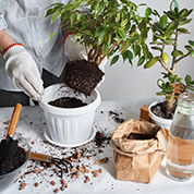 How to know the perfect mix for your plants